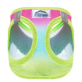 American River Choke Free Dog Harness Ombre Collection (Color: Rainbow, size: XX-Small)