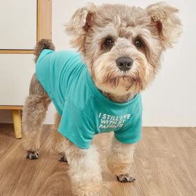 Pet Clothes Round Neck T-shirt (Option: Blue-XXL)